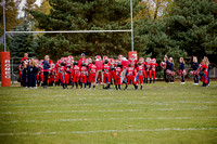 2012 flag Romeo Jr. Bulldogs